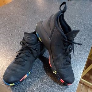 lebron james witness ii